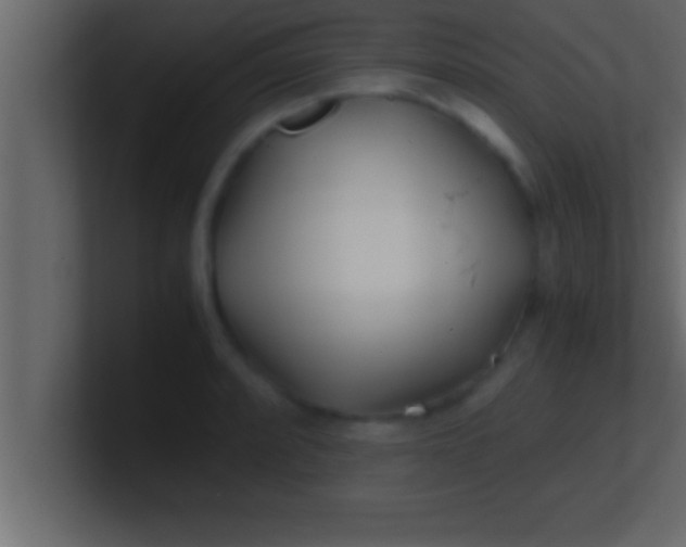 X0000100761088200807031145