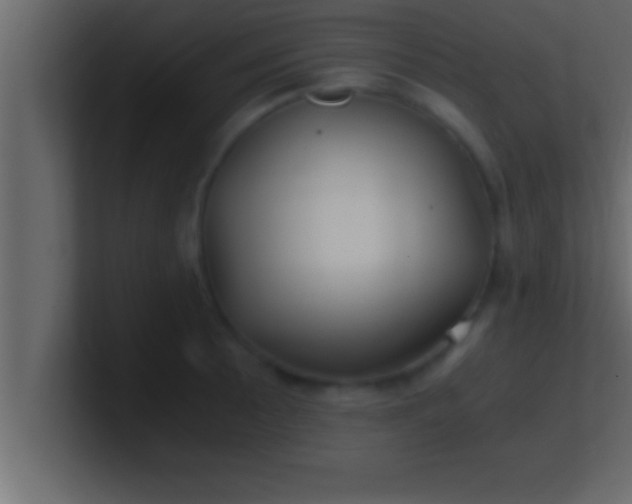 X0000100761089200807031145