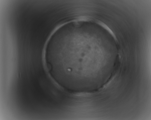 X0000100761091200807031145