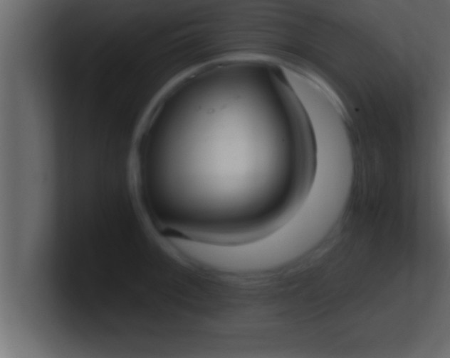 X0000100761092200807031145