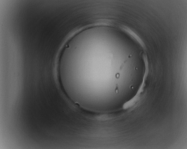 X0000100761093200807031145