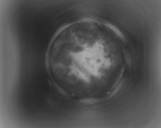 X0000100761094200807031145