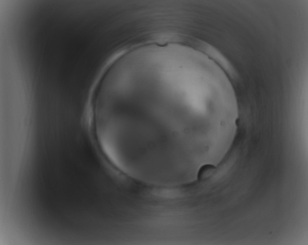 X0000100761095200807031145