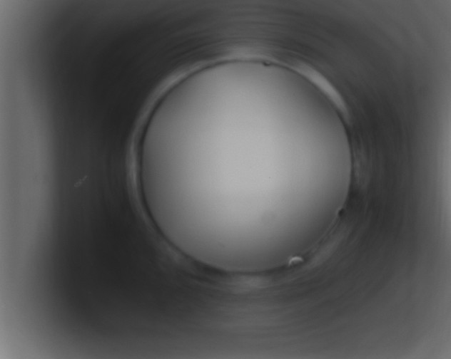 X0000100761096200807031145