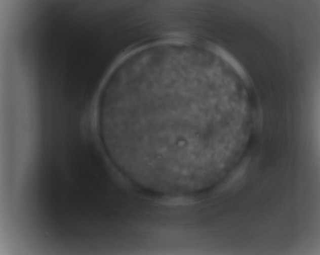 X0000100761099200807031144