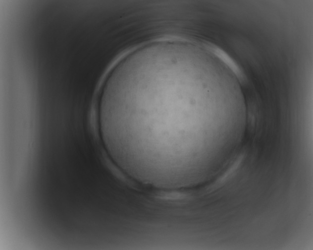 X0000100761100200807031144