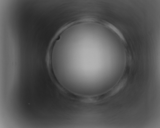 X0000100761101200807031144