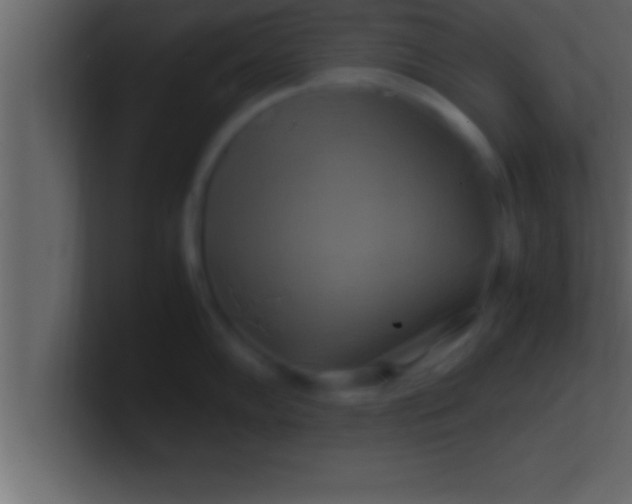 X0000100761102200807031144