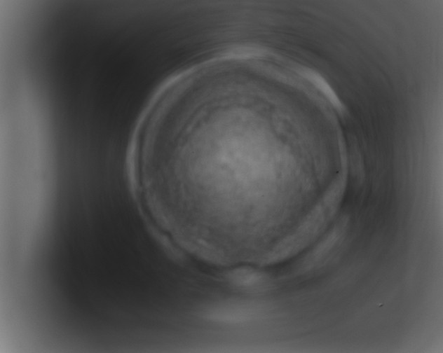 X0000100761103200807031144