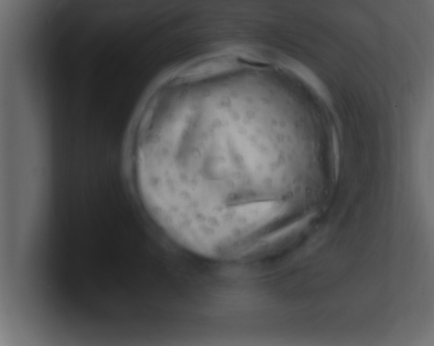 X0000100761104200807031144