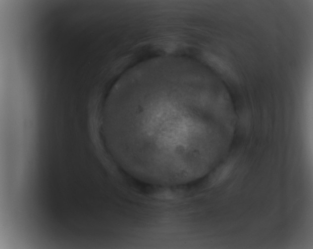 X0000100761105200807031144