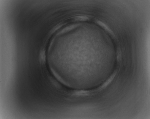 X0000100761113200807031144