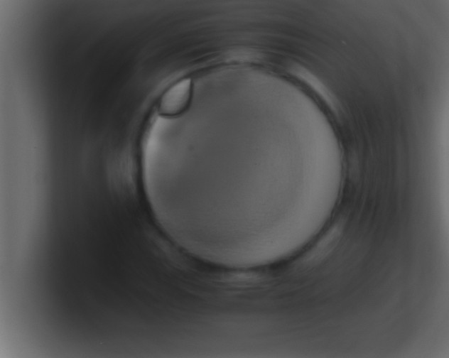 X0000100761115200807031144