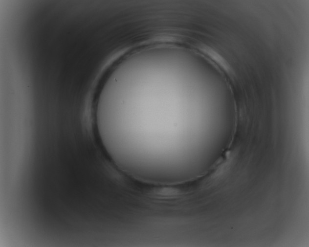 X0000100761119200807031144