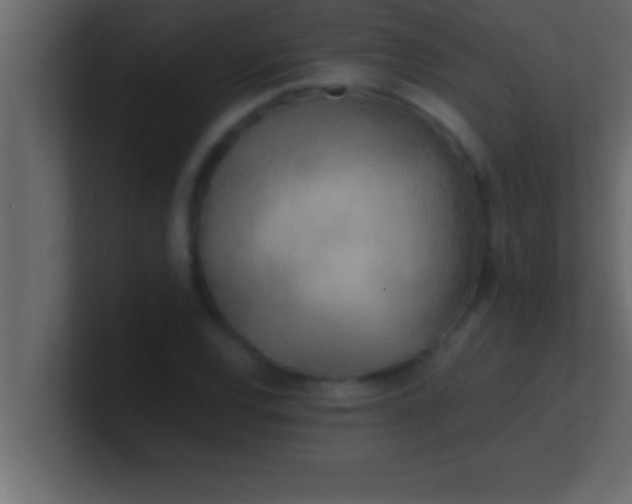 X0000100761120200807031144