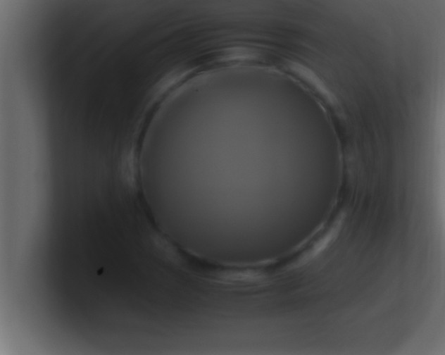 X0000100761121200807031144