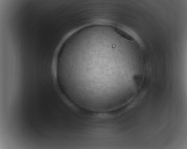 X0000100761128200807031144