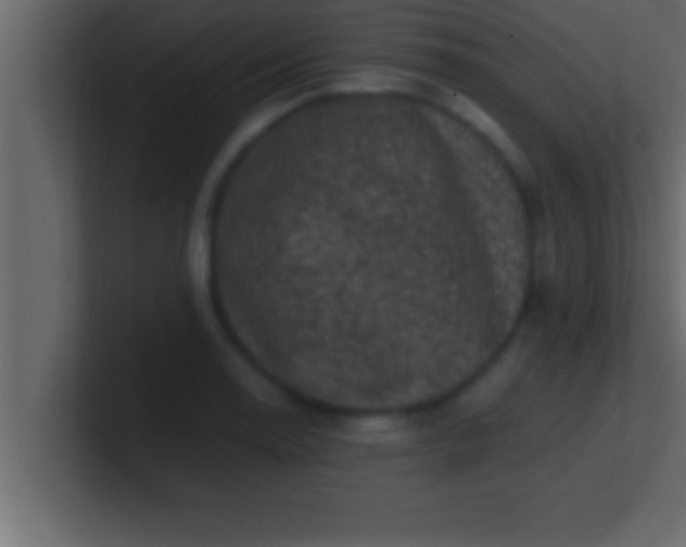 X0000100761130200807031144