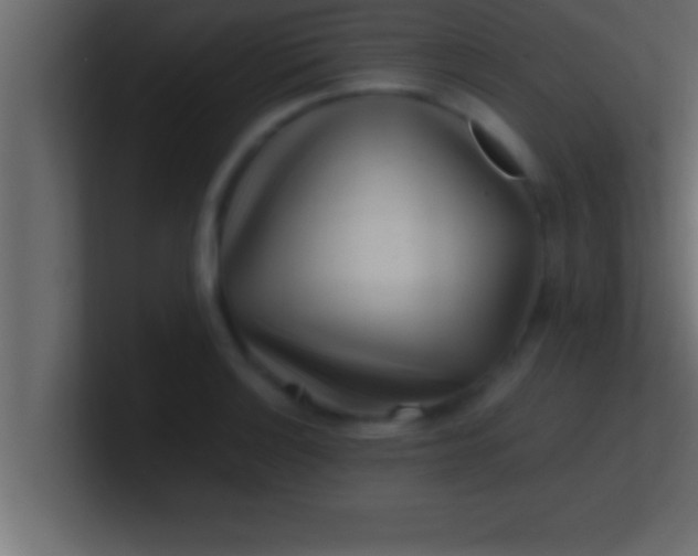 X0000100761132200807031144