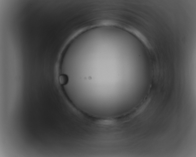 X0000100761134200807031144