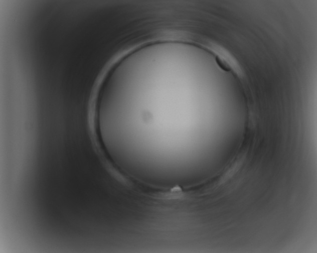 X0000100761136200807031144