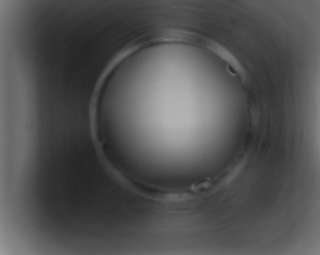 X0000100761138200807031144