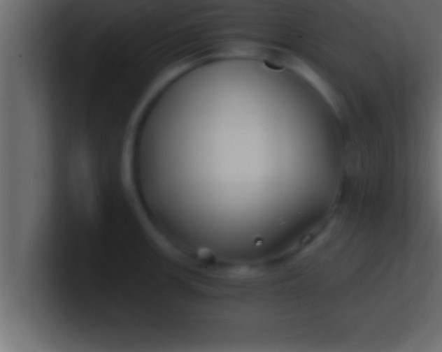 X0000100761139200807031144