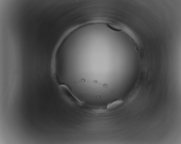 X0000100761140200807031144