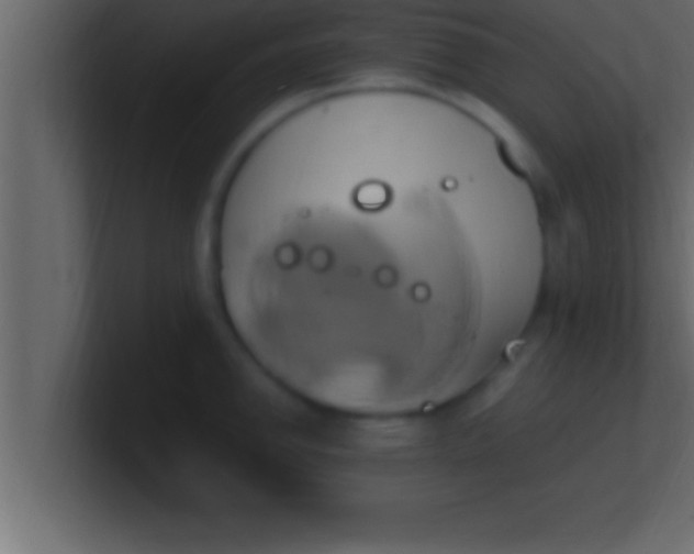 X0000100761142200807031144