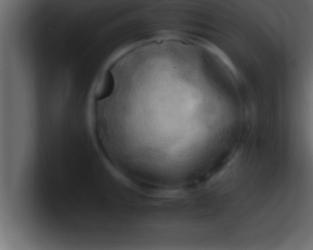 X0000100761143200807031144