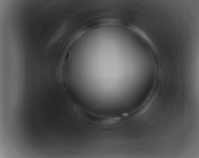 X0000100761145200807031144