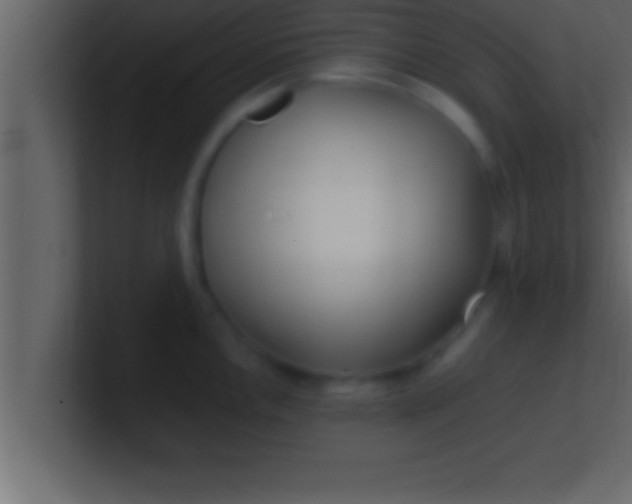 X0000100761146200807031144