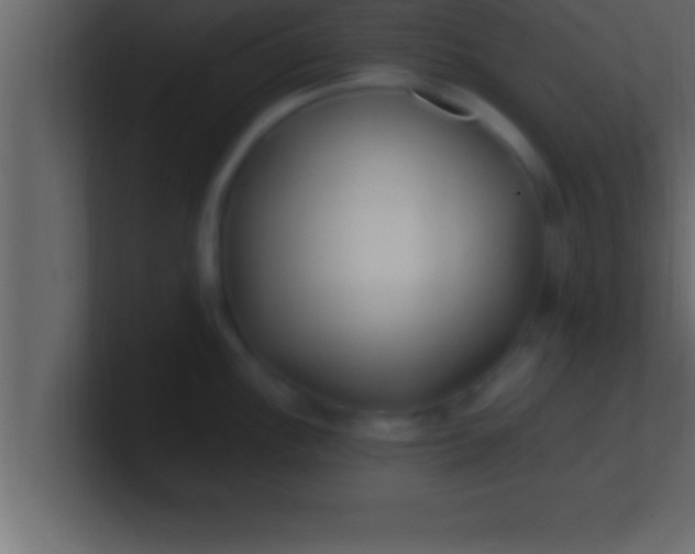 X0000100761148200807031144