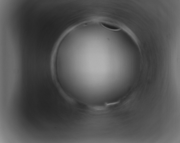 X0000100761152200807031144