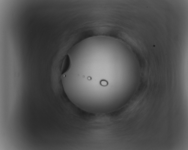 X0000100761153200807031144