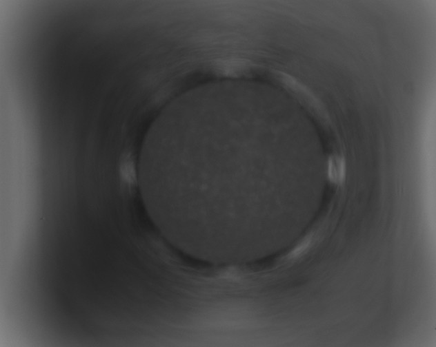 X0000100761155200807031144