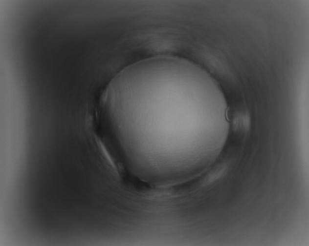 X0000100761156200807031144