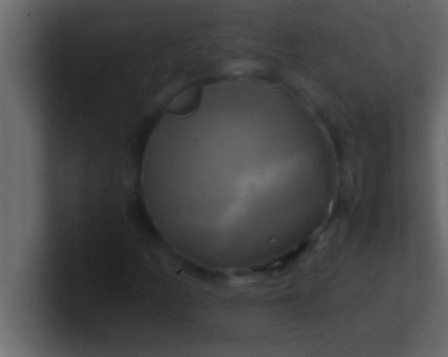 X0000100761158200807031144