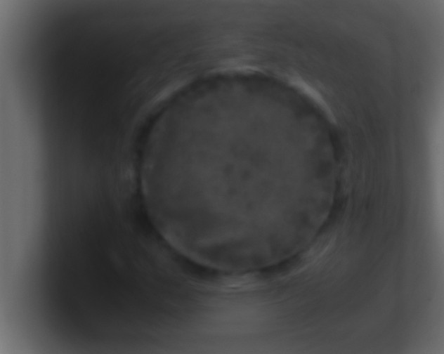 X0000100761159200807031144