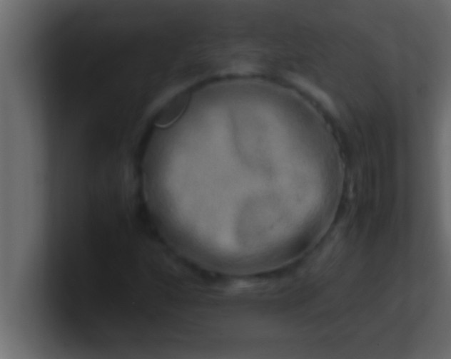 X0000100761160200807031144