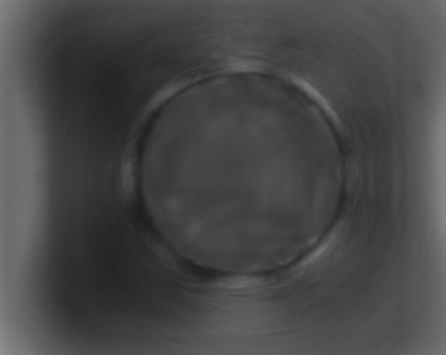 X0000100761163200807031144