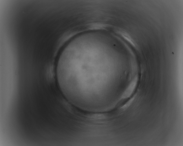 X0000100761164200807031144