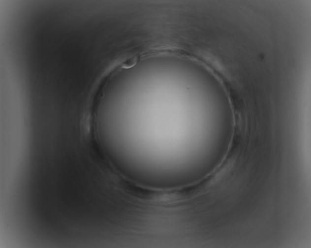 X0000100761165200807031144