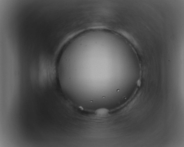 X0000100761167200807031144