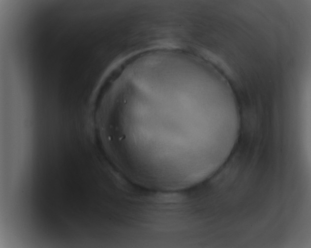 X0000100761168200807031144