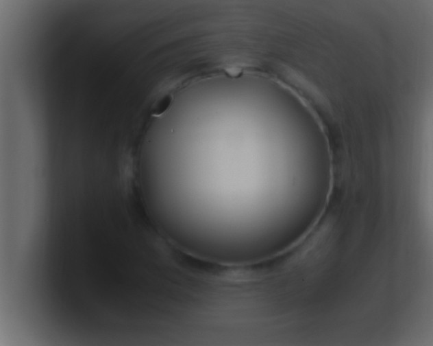 X0000100761169200807031144