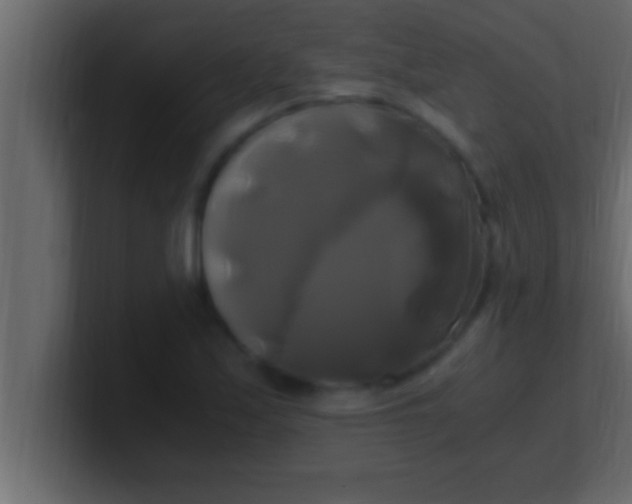 X0000100761171200807031144