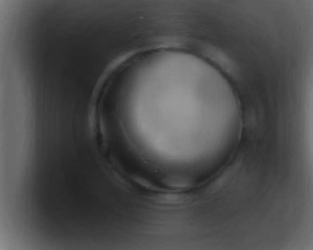 X0000100761172200807031144