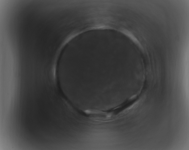 X0000100761173200807031144