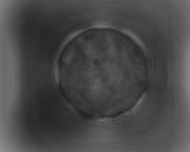 X0000100761175200807031143